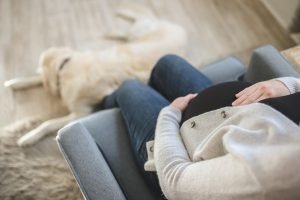Prenatal Care Adoption Blog Image: A closeup of a pregnant woman holding her belly. A golden retriever lays at her feet.